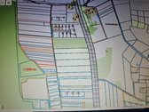 Parduodamas 116 arų miškas Vilniaus raj., - nuotraukos Nr. 2