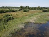 Erdvi Namų Valda - nuotraukos Nr. 3