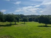 Išskirtinė 3,05 ha sodyba Neries slėnyje  - nuotraukos Nr. 6