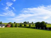 Unikalus pasiūlymas Bendoriuose, šalia - nuotraukos Nr. 11