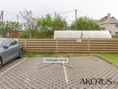 Verta Žinoti - nuotraukos Nr. 17