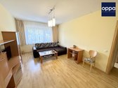 Nuomojamas šiltas, erdvus, 1 kambario butas - nuotraukos Nr. 3