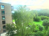 Gražioje, labai ramioje vietoje išnuomojamas - nuotraukos Nr. 14
