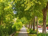 Itin Erdvus Butas Aukštomis Lubomis Viename - nuotraukos Nr. 21