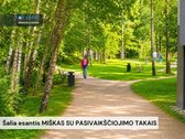 Parduodamas patogus Butas su dideliu Balkonu - nuotraukos Nr. 31