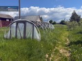 **Parduodama sodyba su gyvenamuoju namu ir - nuotraukos Nr. 3
