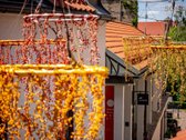 Meko Skersvėjis – vieta, kupina kultūros - nuotraukos Nr. 17