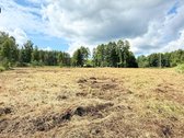 Parduodami trys skirtingų dydžių namų valdos - nuotraukos Nr. 6