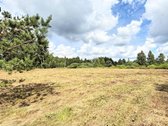Parduodami trys skirtingų dydžių namų valdos - nuotraukos Nr. 8
