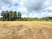 Parduodami trys skirtingų dydžių namų valdos - nuotraukos Nr. 9
