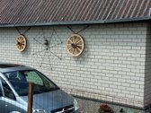 Sodas randasi ramioje vietoje , prie miško - nuotraukos Nr. 3