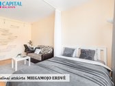 Nuomojamas geras 1 kambario Butas Paneriuose - nuotraukos Nr. 4