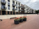 Kaštonų apartamentai – tai naujas, modernus