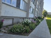Parduodamas švarus, tvarkingas 1-kambario - nuotraukos Nr. 50