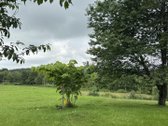 Parduodama Jauki Sodyba Žemaitijos - nuotraukos Nr. 8
