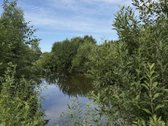 Parduodama Jauki Sodyba Gamtos Apsuptyje – - nuotraukos Nr. 11