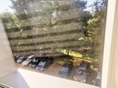 Išnuomojamas 2k. naujai įrengtas butas su - nuotraukos Nr. 15