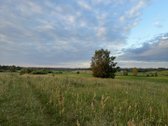 Parduodamas 5 ha Žemės Ūkio Paskirties - nuotraukos Nr. 32