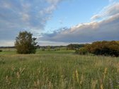 Parduodamas 5 ha Žemės Ūkio Paskirties - nuotraukos Nr. 33