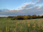 Parduodamas 5 ha Žemės Ūkio Paskirties - nuotraukos Nr. 34
