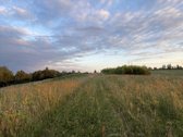 Parduodamas 5 ha Žemės Ūkio Paskirties - nuotraukos Nr. 35