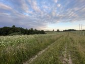 Parduodamas 5 ha Žemės Ūkio Paskirties - nuotraukos Nr. 37