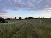 Parduodamas 5 ha Žemės Ūkio Paskirties - nuotraukos Nr. 38