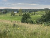 Parduodamas 5 ha Žemės Ūkio Paskirties - nuotraukos Nr. 39