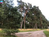 Parduodami namų valdos sklypai Kulautuvoje, - nuotraukos Nr. 11