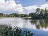 Parduodamas 5,06 a. namų valdos sklypas - nuotraukos Nr. 5