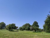 Parduodama ferma, kuri yra įregistruota - nuotraukos Nr. 4