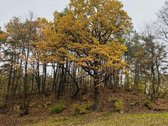 Parduodamas išskirtinis sklypas Neries - nuotraukos Nr. 6