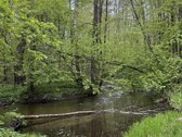 Parduodamas išskirtinis sklypas Neries - nuotraukos Nr. 4