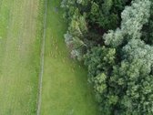 Bendra informacija apie parduodamą ūkį: - nuotraukos Nr. 13