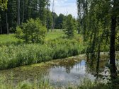 Lazdijų r. sav., Lazdijų sen., Galinių k., - nuotraukos Nr. 29