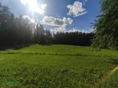 Parduodama Sodyba Šimonių Girios Pašonėje – - nuotraukos Nr. 6
