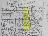 Parduodamas 8.21 Ha žemės ūkio paskirties - nuotraukos Nr. 11