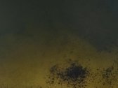 Nt agentūra „Du Procentai“ 2% siūlo! - nuotraukos Nr. 5