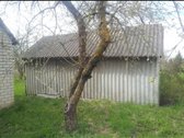 Pakruojo r. sav., Draudelių k. - nuotraukos Nr. 8