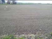 Pakruojo r. sav., Draudelių k. - nuotraukos Nr. 11