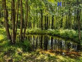 Parduodamas Sodo Namas Pašalčies K., - nuotraukos Nr. 27