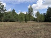 Parduodama sodyba su didele žeme, mišku ir - nuotraukos Nr. 6