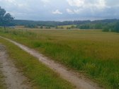 Parduodamas 2,65 ha sklypas su parengtu - nuotraukos Nr. 5