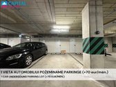 Nuomojamas naujai įrengtas 2,5 Kambarių Butas - nuotraukos Nr. 23