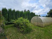 Parduodamas Mūrinis Sodo Namas Su 7,80 A Sklypu - nuotraukos Nr. 15