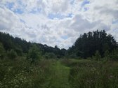 Parduodamas Unikalus 4,3 Ha Žemės Ūkio - nuotraukos Nr. 4