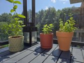Kokybiškai Įrengtas Erdvus 2 Kambarių Butas - nuotraukos Nr. 13