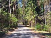 Unikalus sklypas Vilniuje Su Statybos Leidimu - nuotraukos Nr. 4