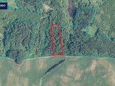 Parduodamas 1,08 ha malkinis miškas. - nuotraukos Nr. 2