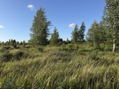 Šiaulių r. sav., Ginkūnų sen., Malavėniukų k. - nuotraukos Nr. 20